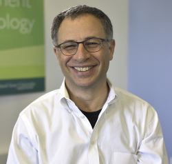 Amir Poreh